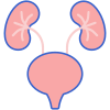 external-urology-medical-and-healthcare-flaticons-lineal-color-flat-icons