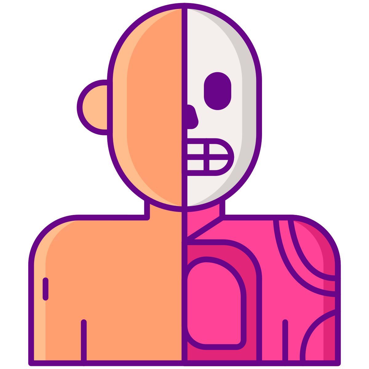 anatomy icon
