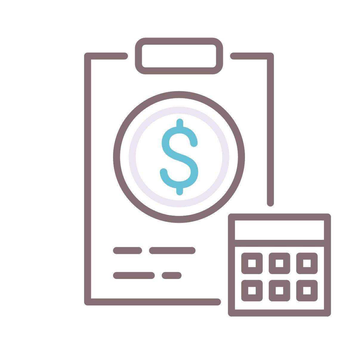 budget icon