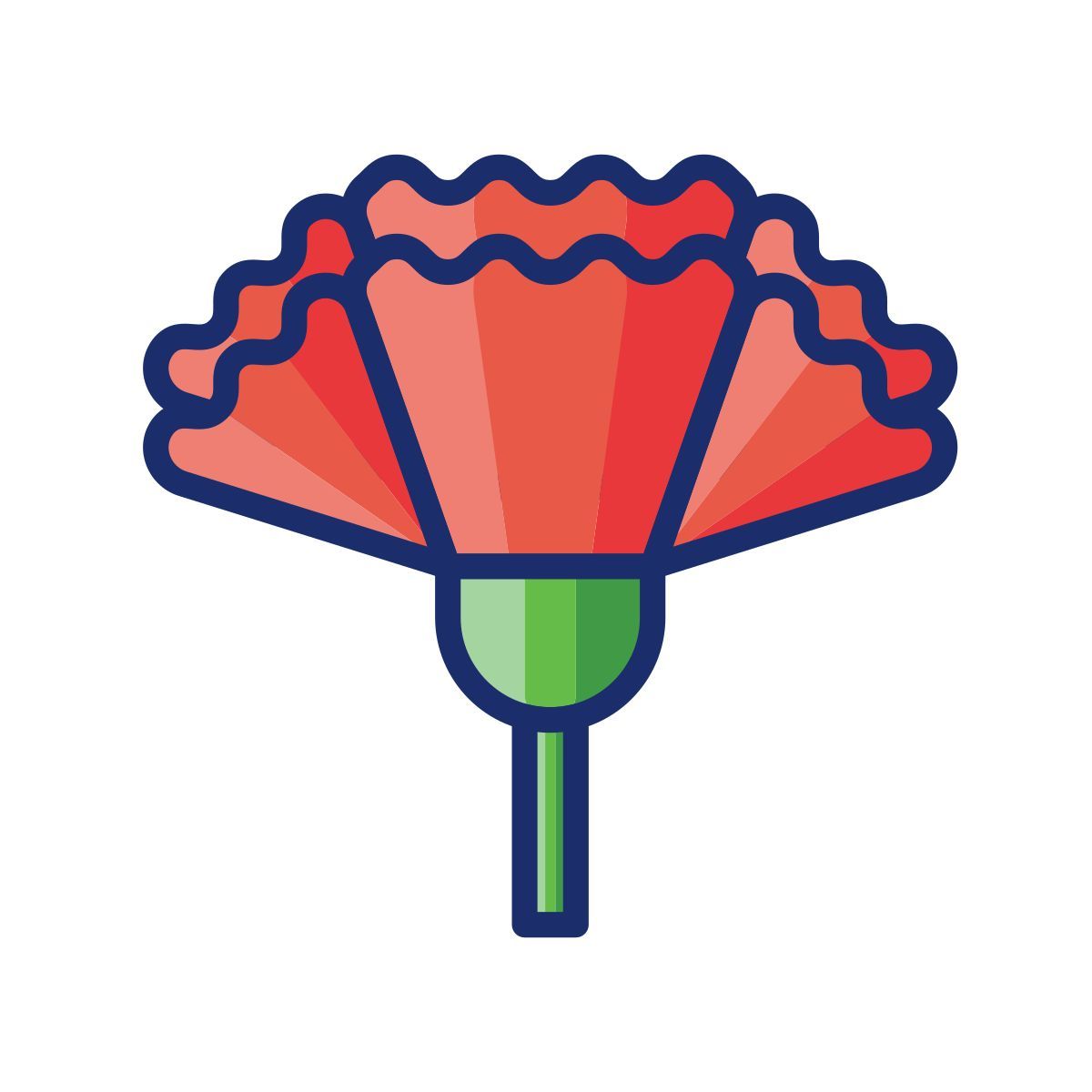 carnation icon