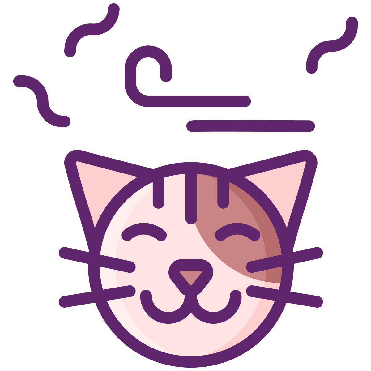 猫 icon