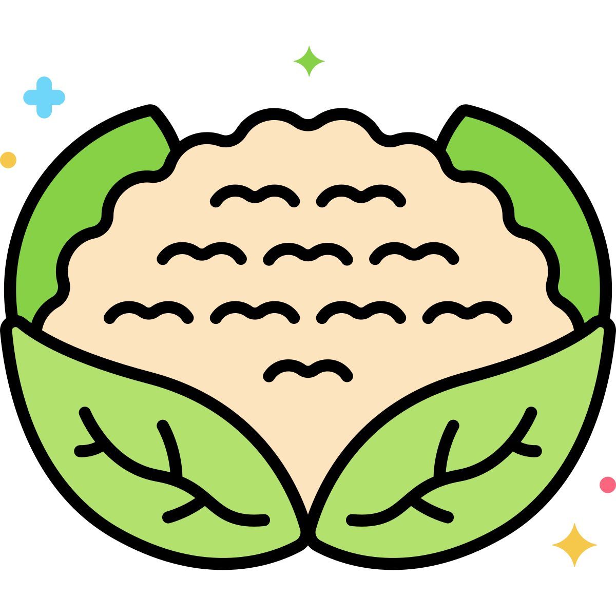 cauliflower icon