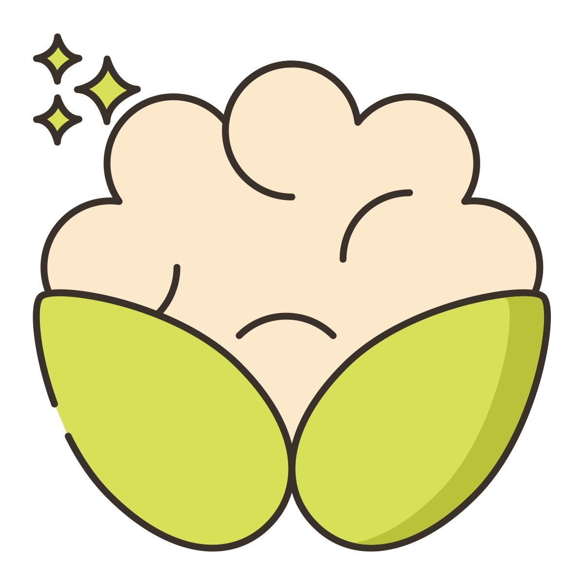 cauliflower icon