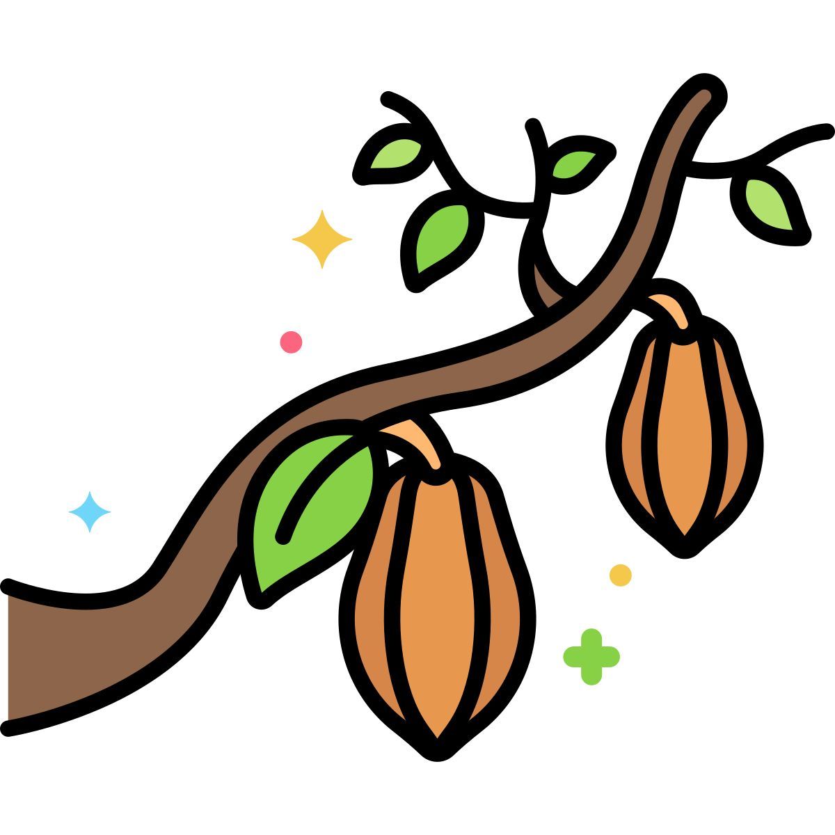 cocoa icon