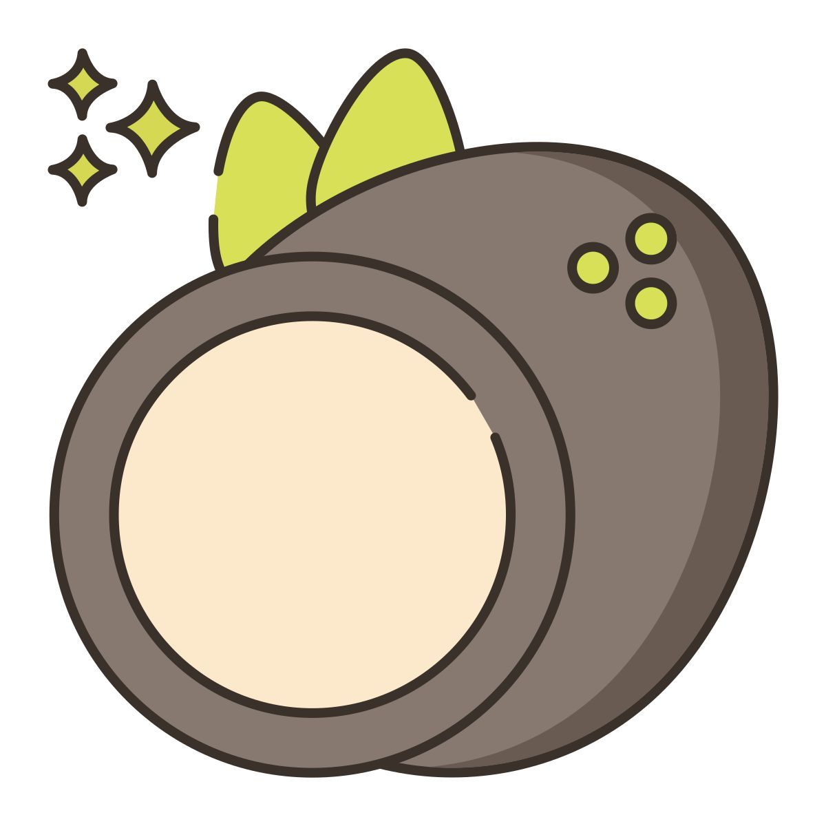 kokosnuss icon