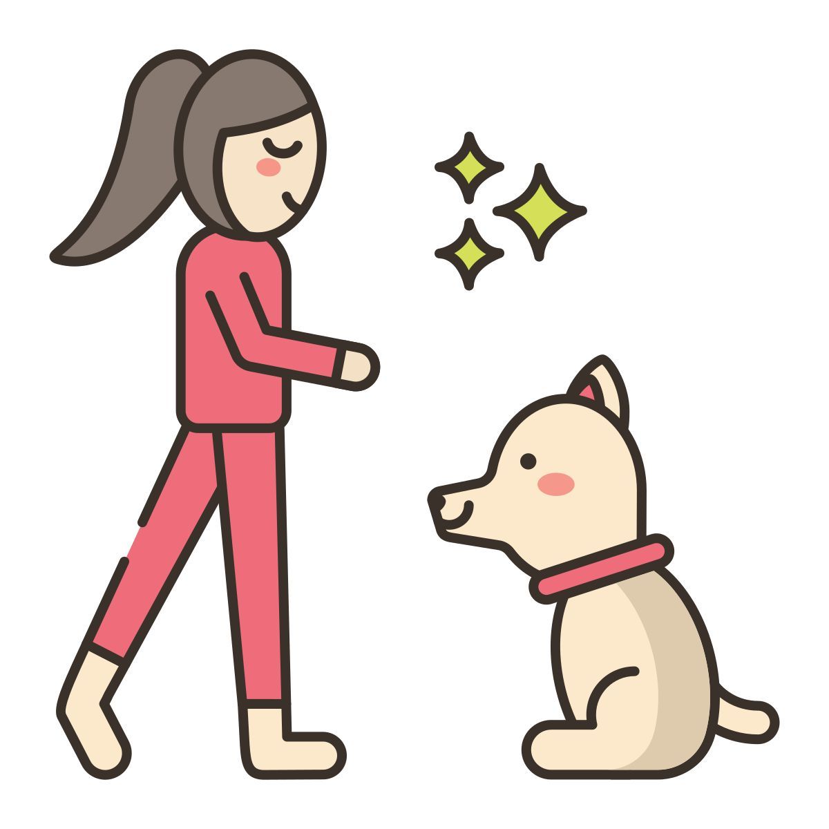 command icon