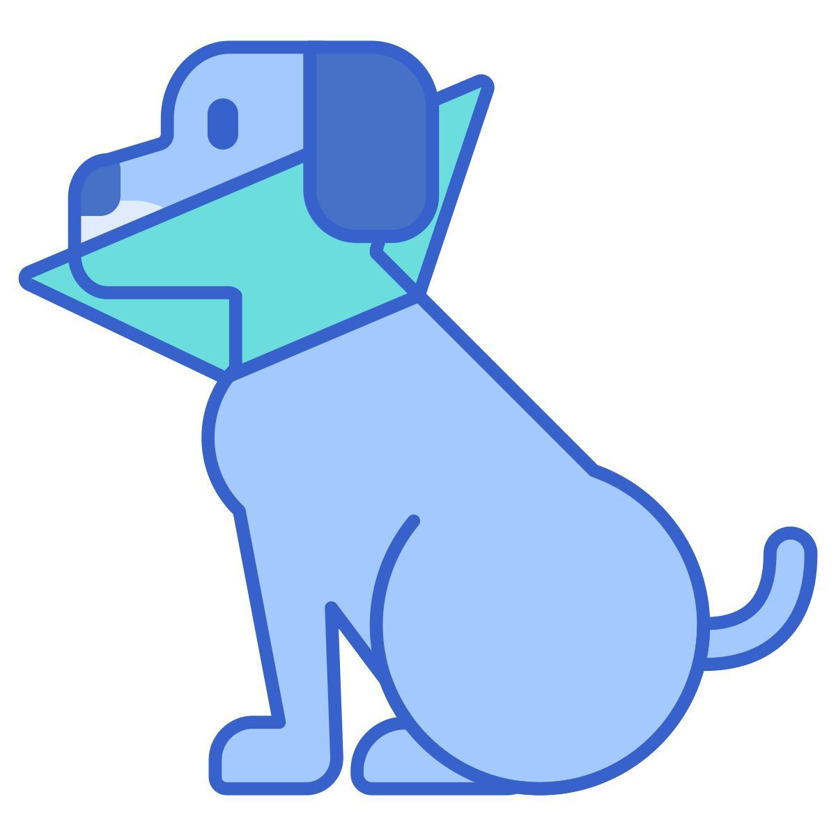 cone of shame icon