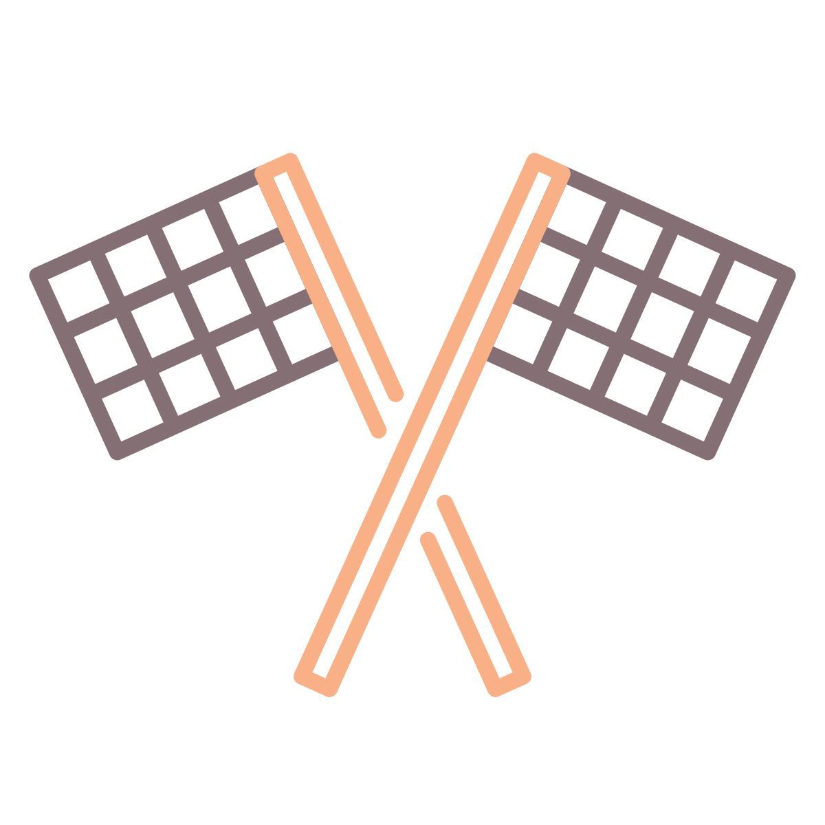 banderas cruzadas icon