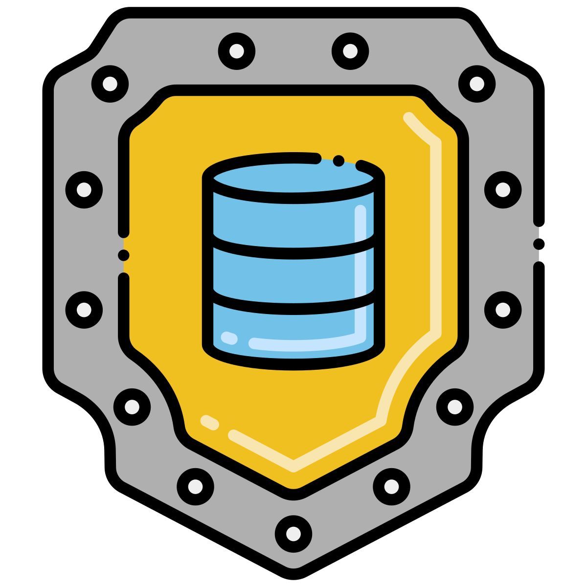 data security icon