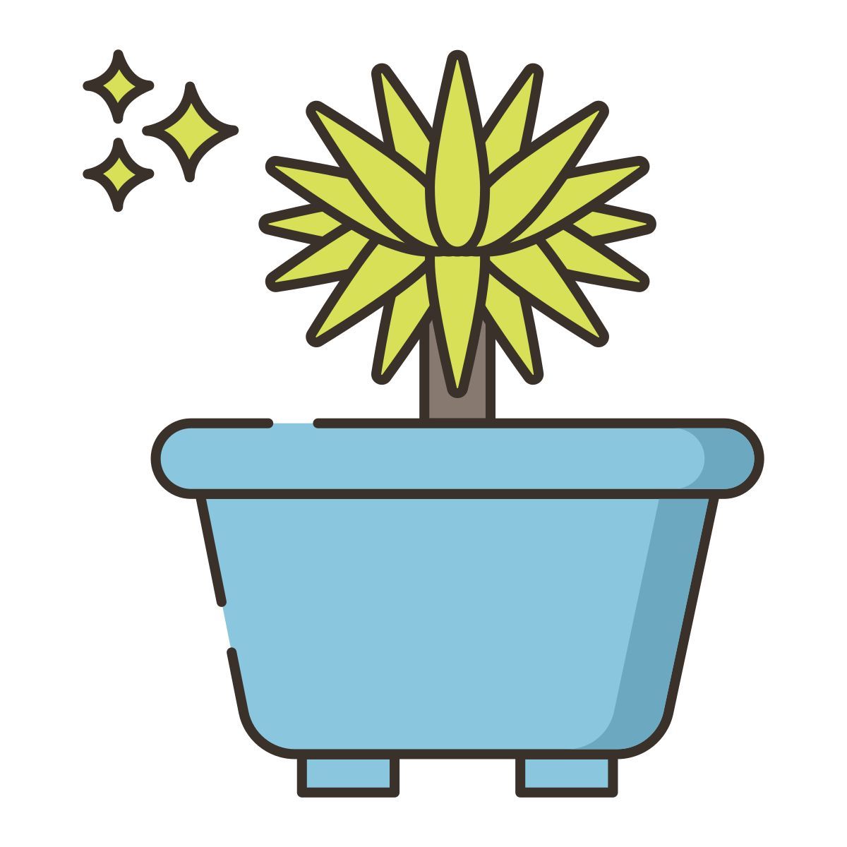 drachenbaum Icon