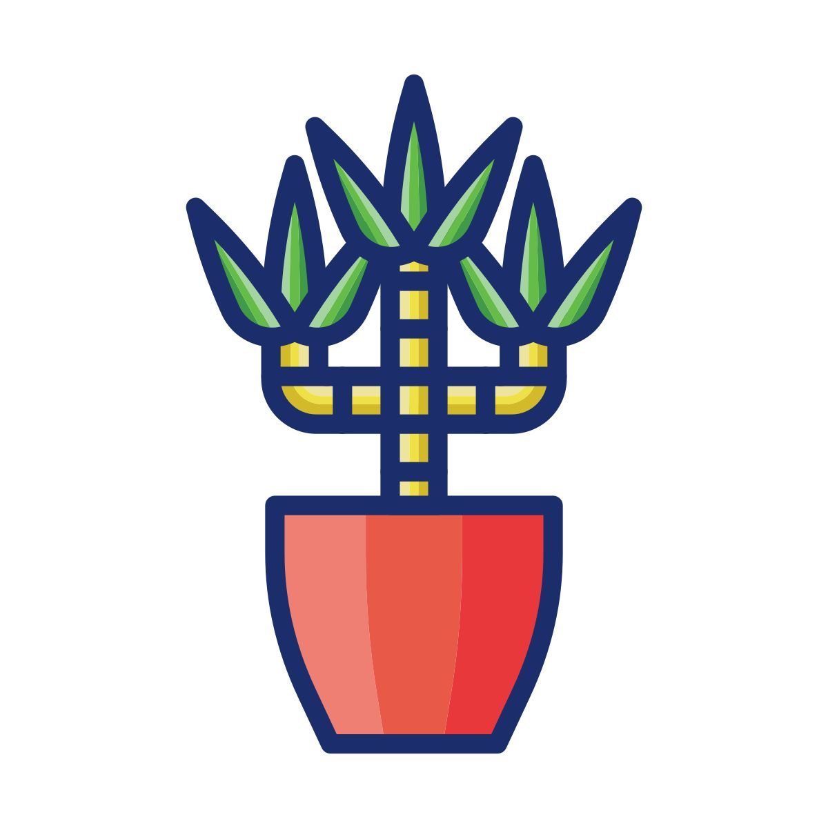drachenbaum Icon
