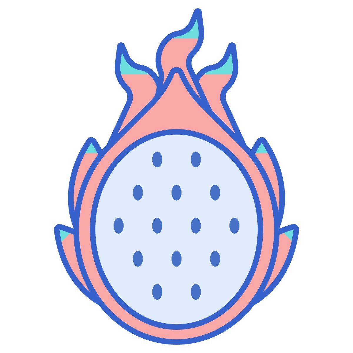 dragon fruit icon