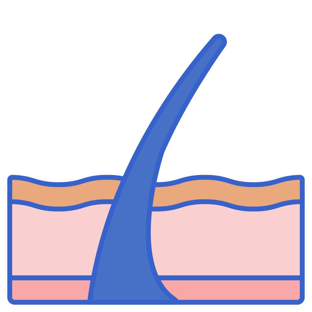 epidermis icon