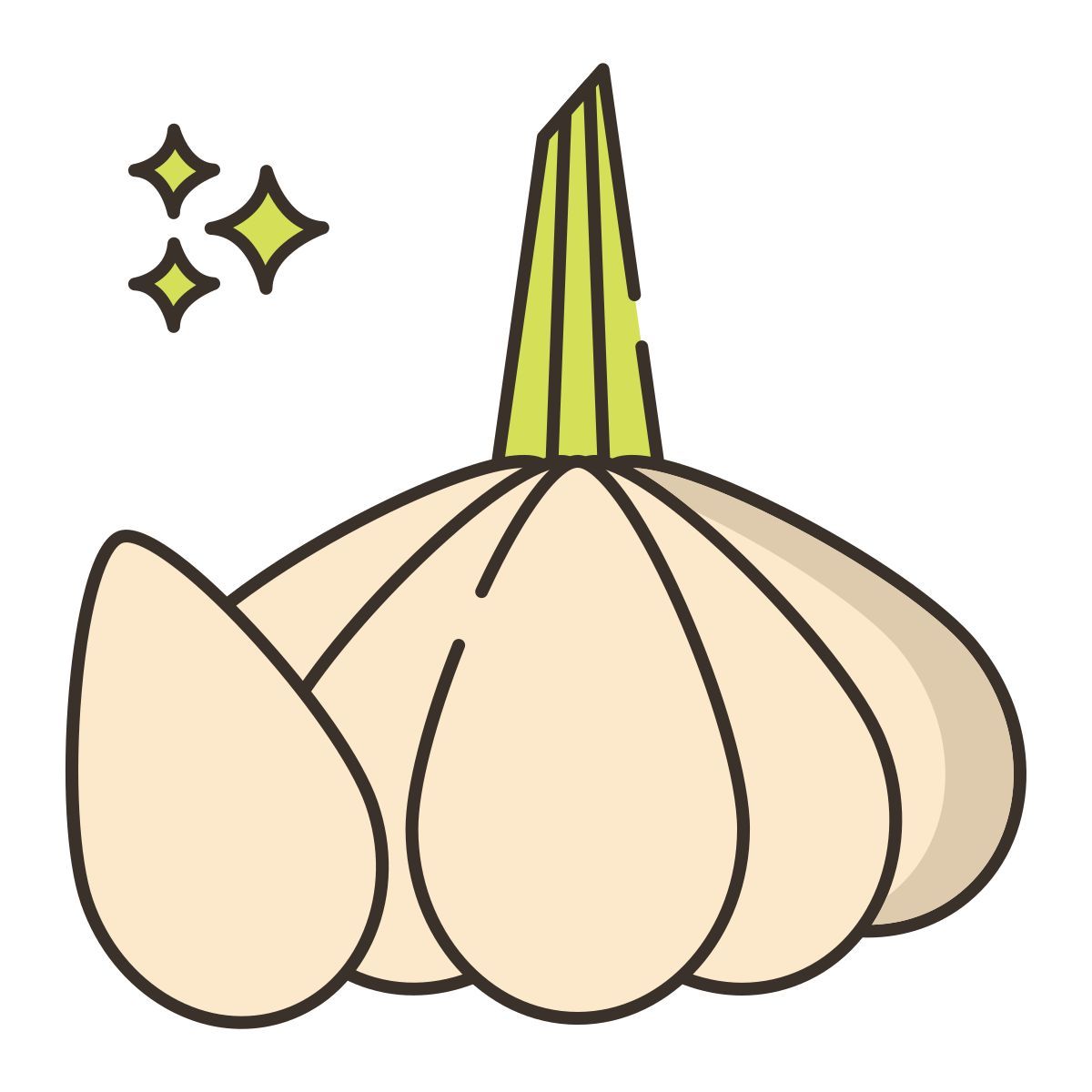 garlic icon