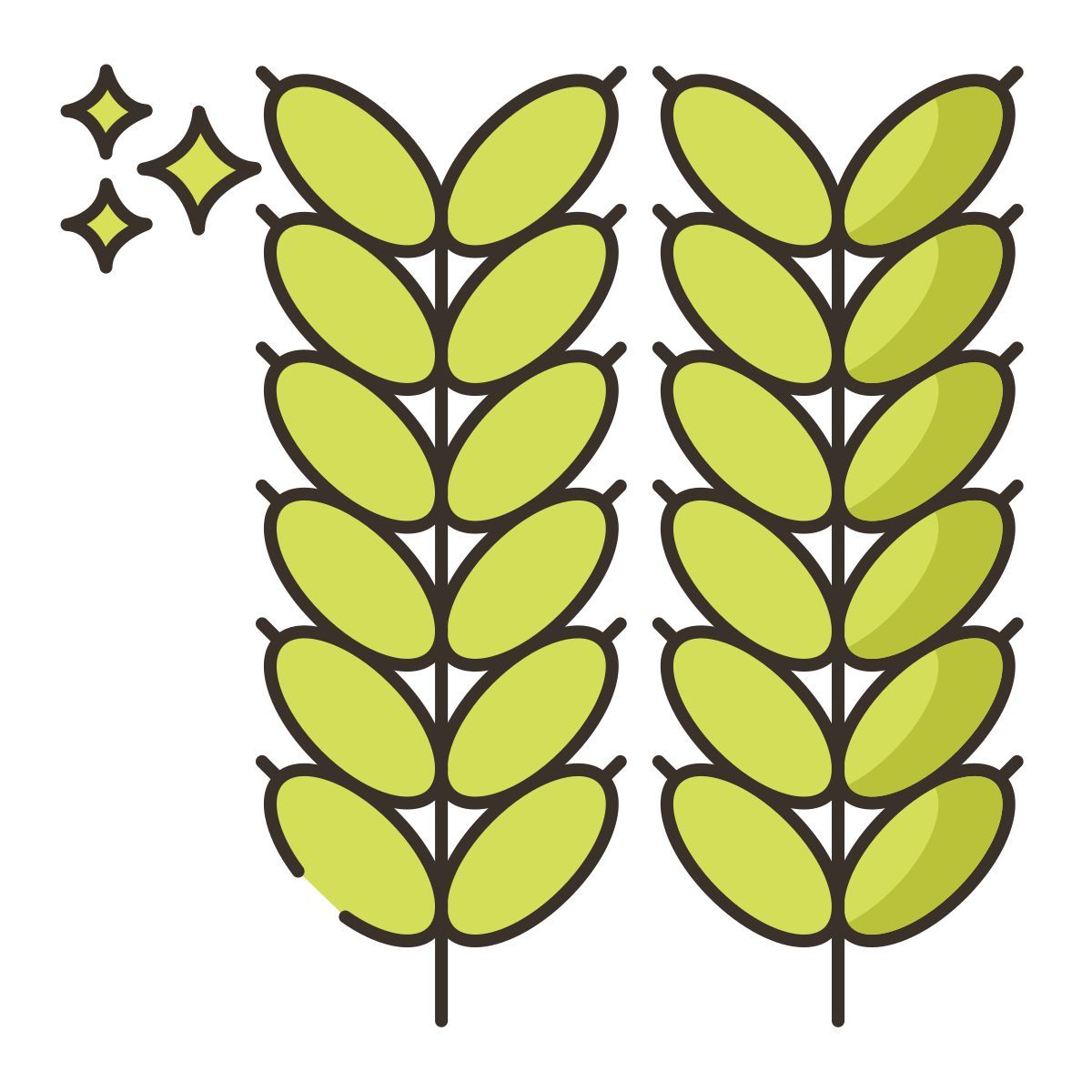 grain icon