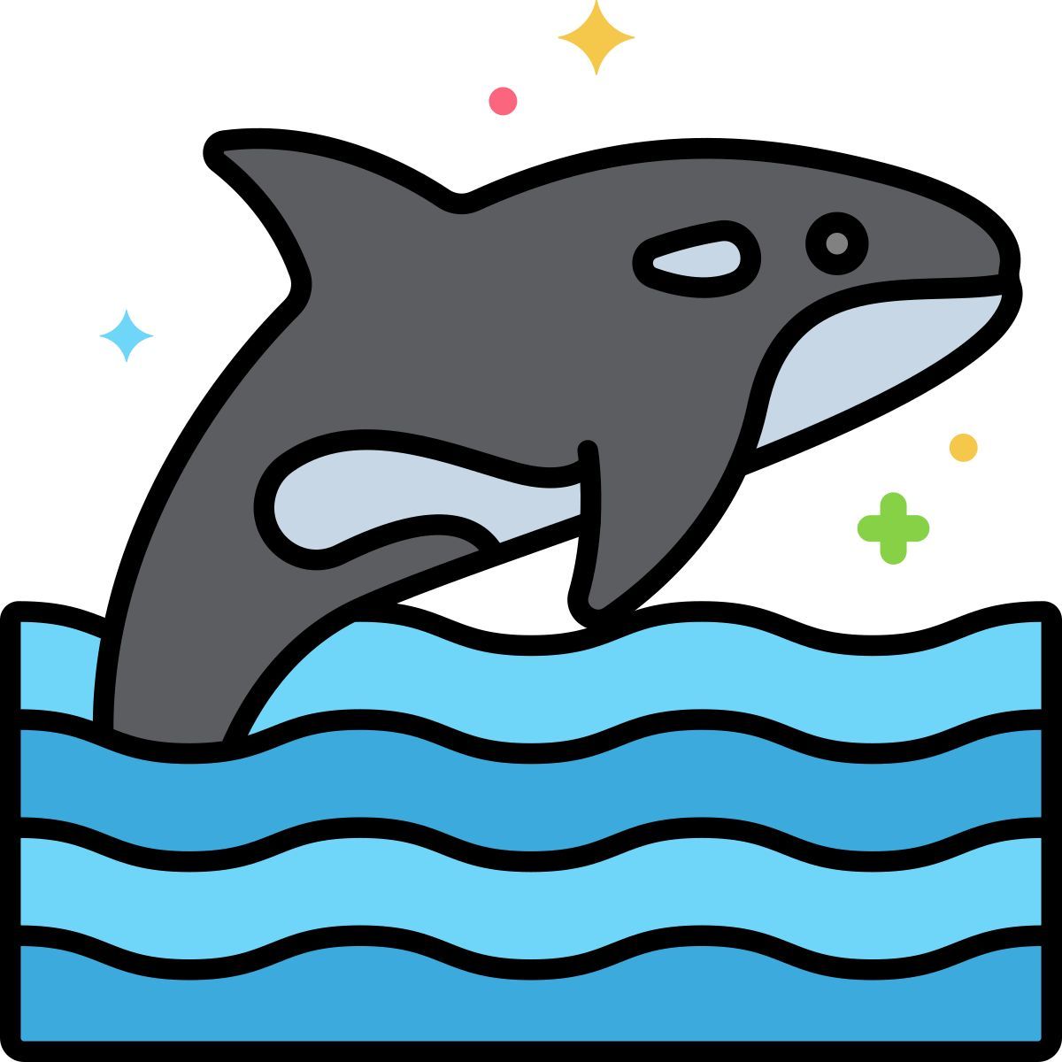 killer whale icon