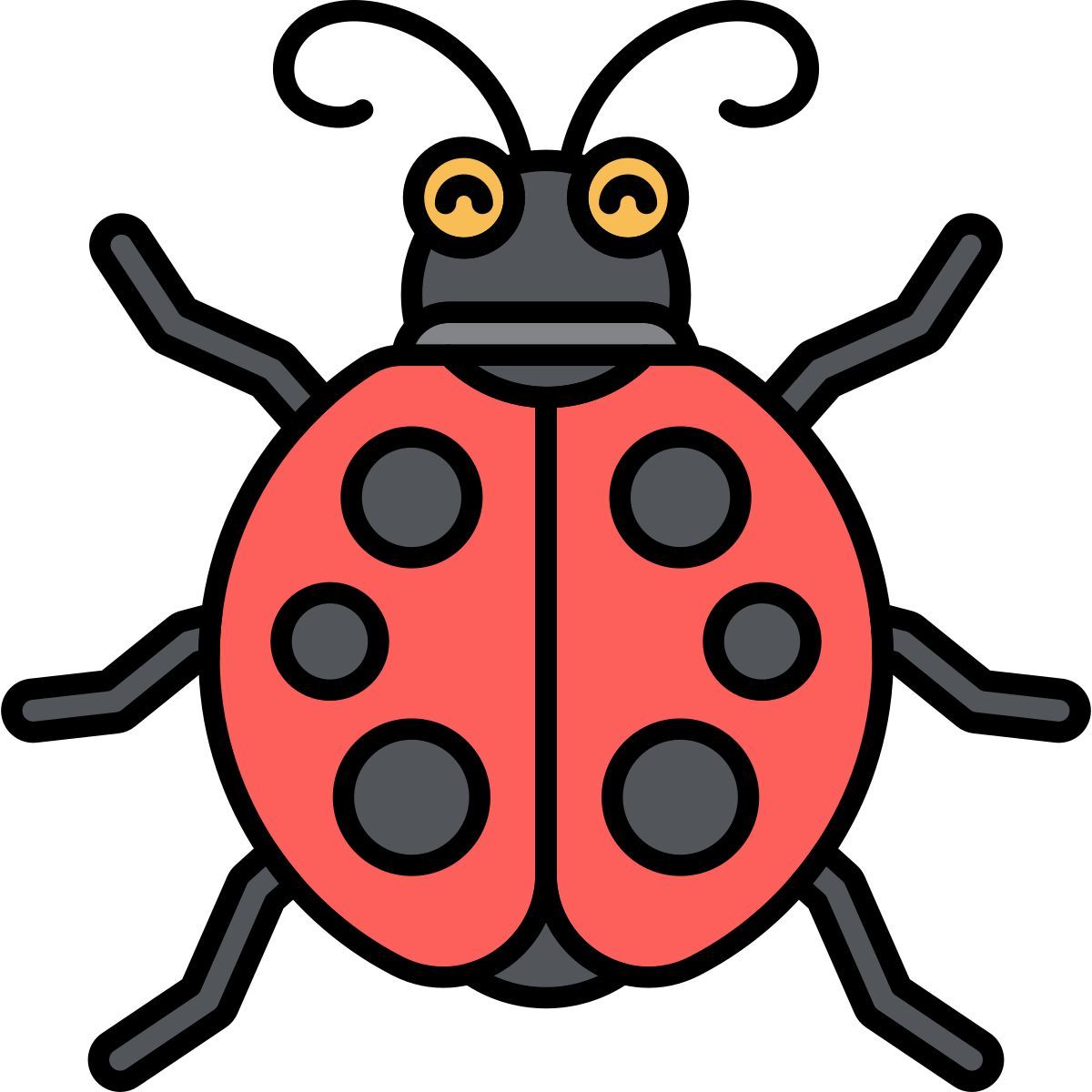 ladybug icon