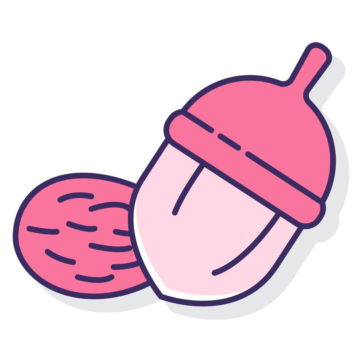 nut icon