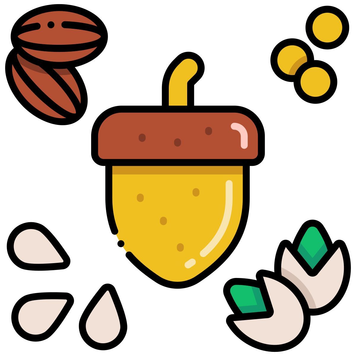 nut icon