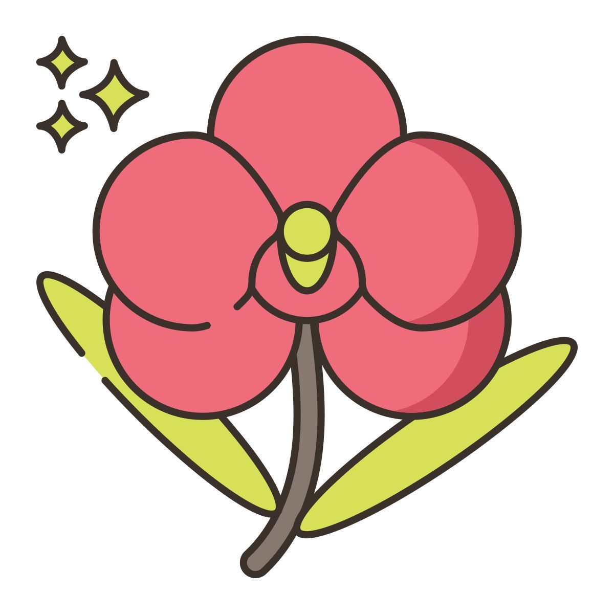 orquídea icon