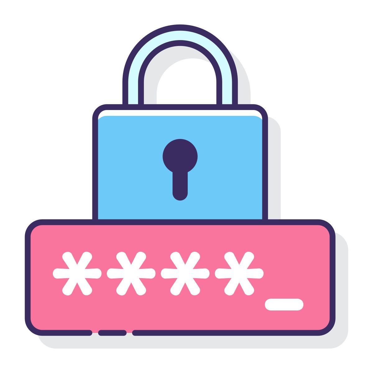 password icon