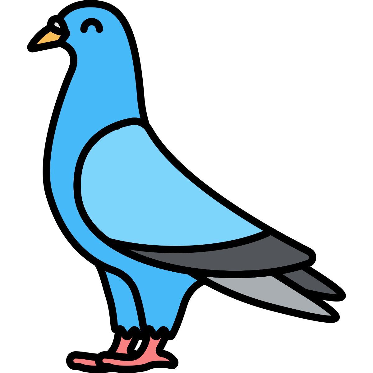 pigeon icon
