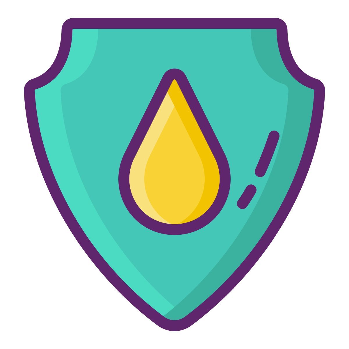 protection icon