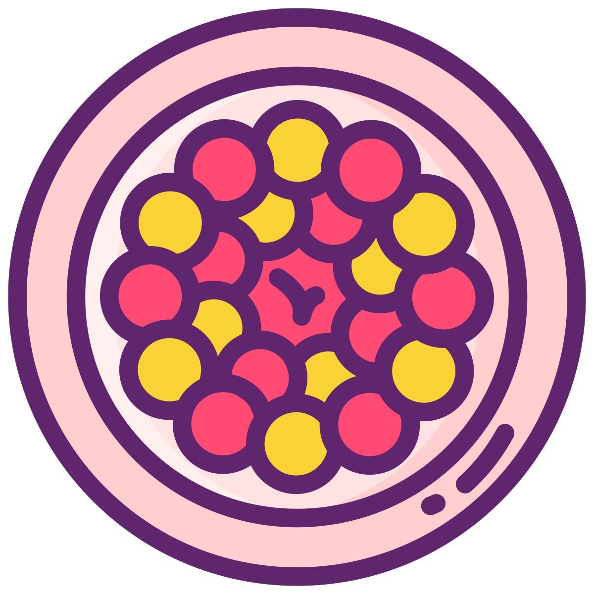 ラタトゥイユ icon