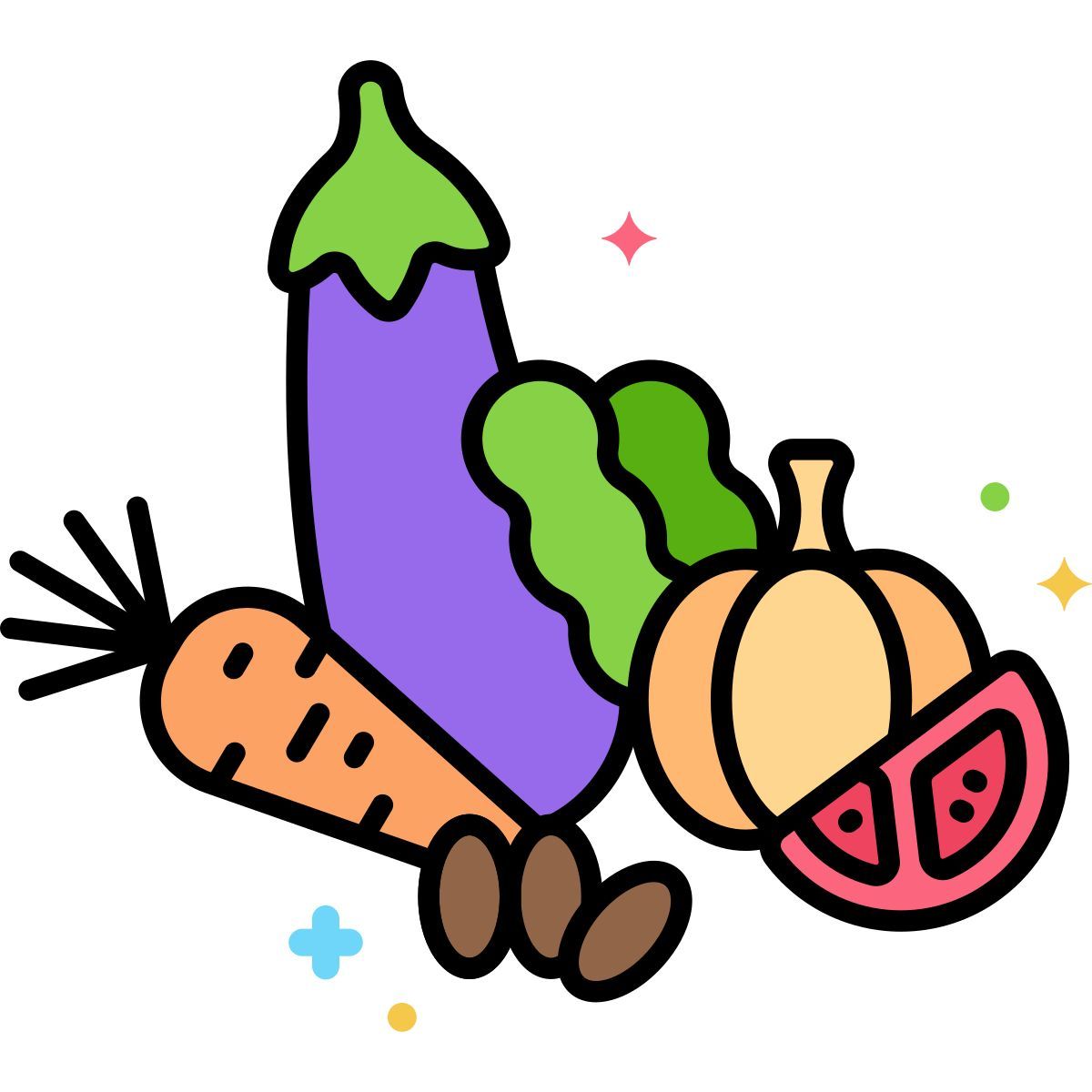 aliments crus icon