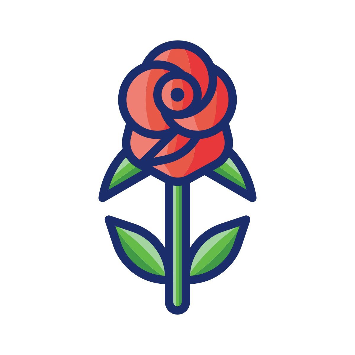 rosa icon