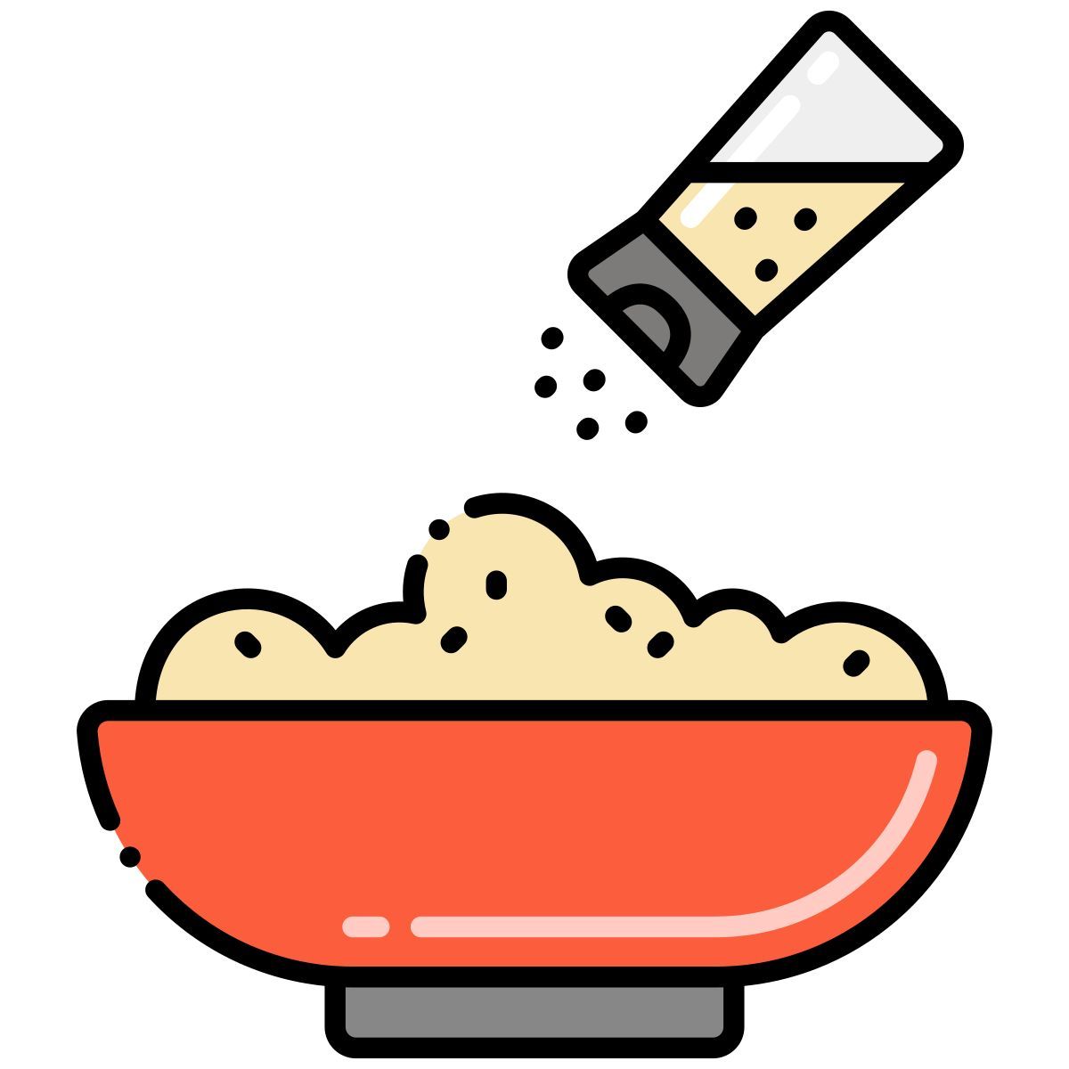 saleiro icon
