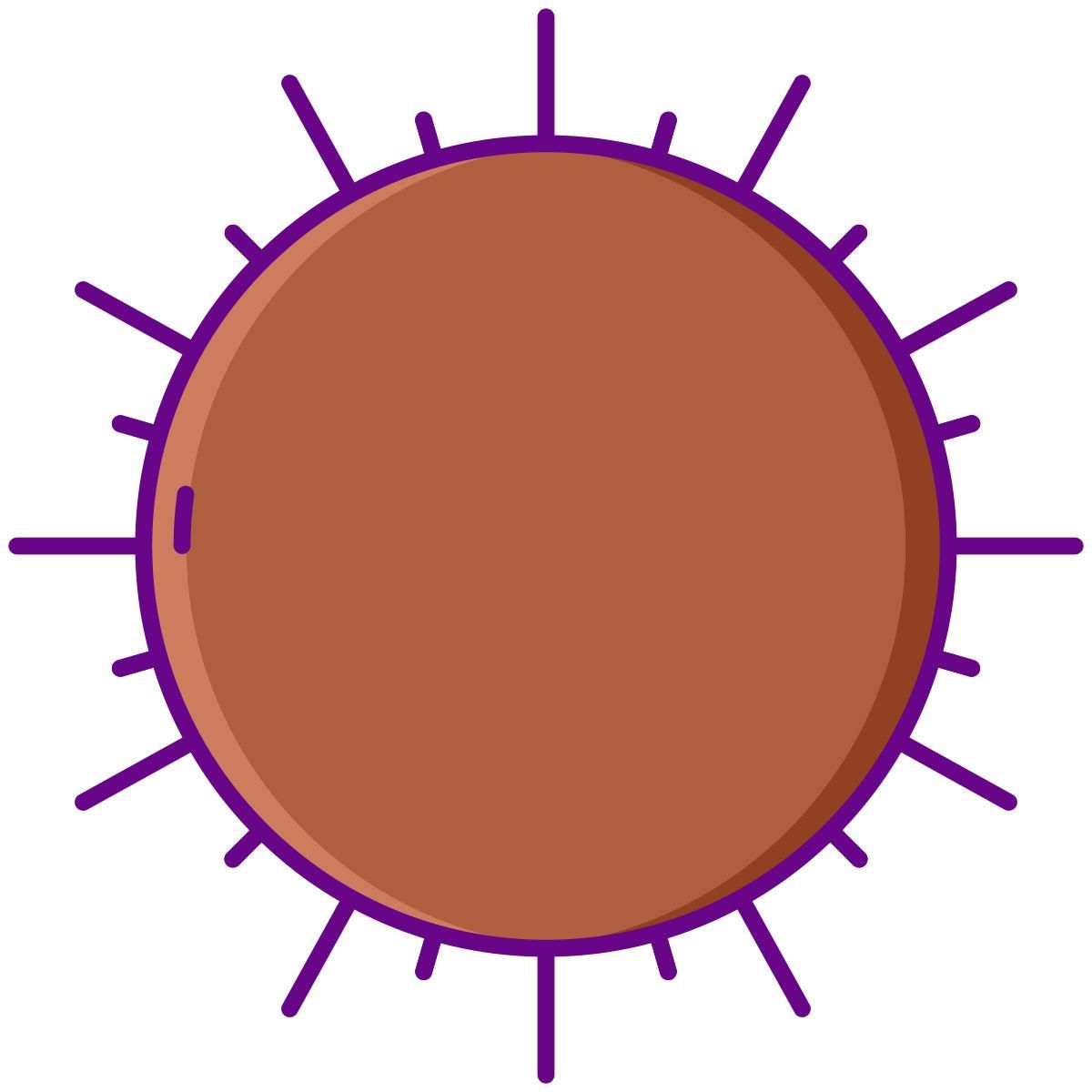 sea urchin icon