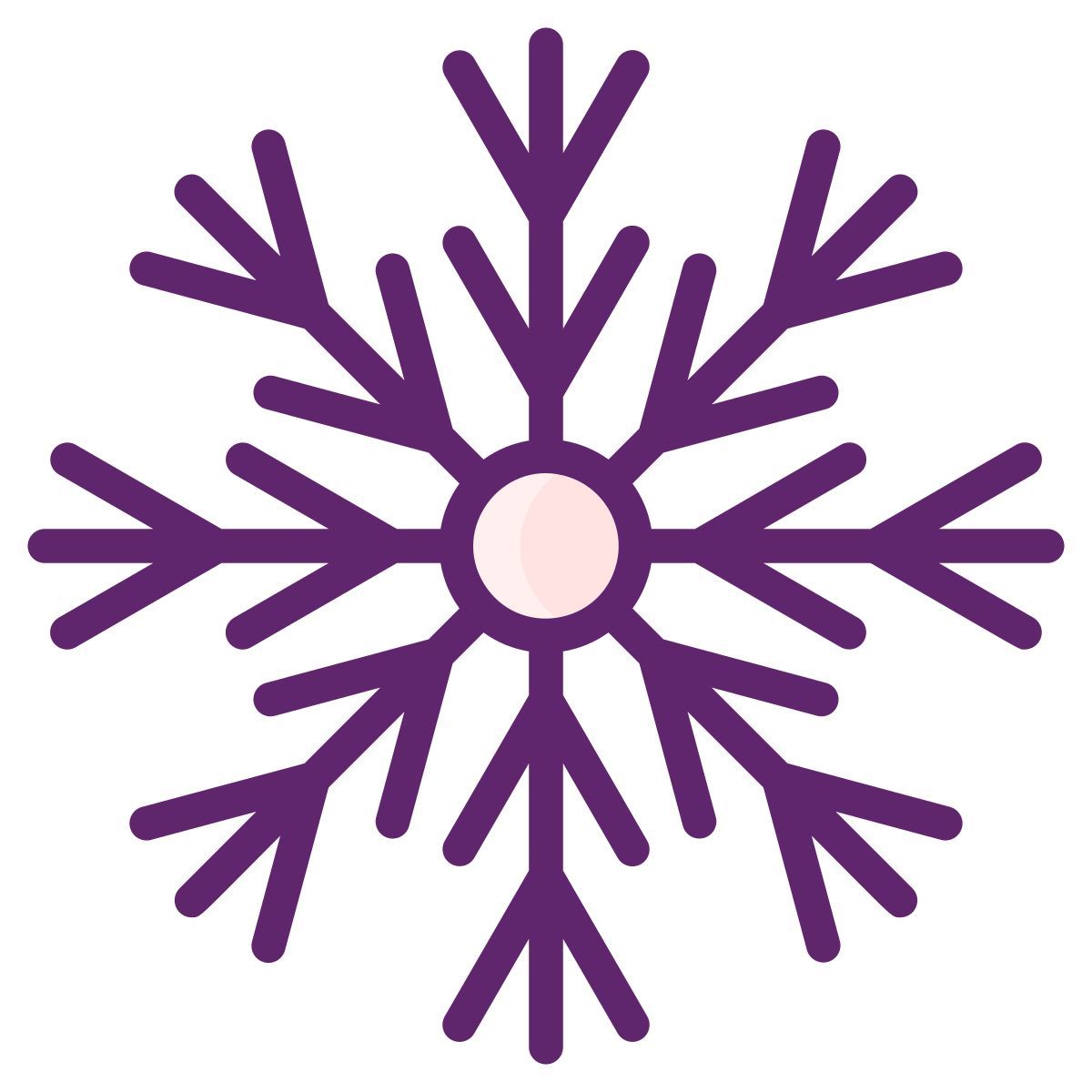 snowflake icon