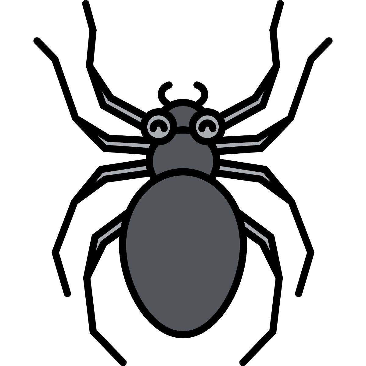 spinne icon