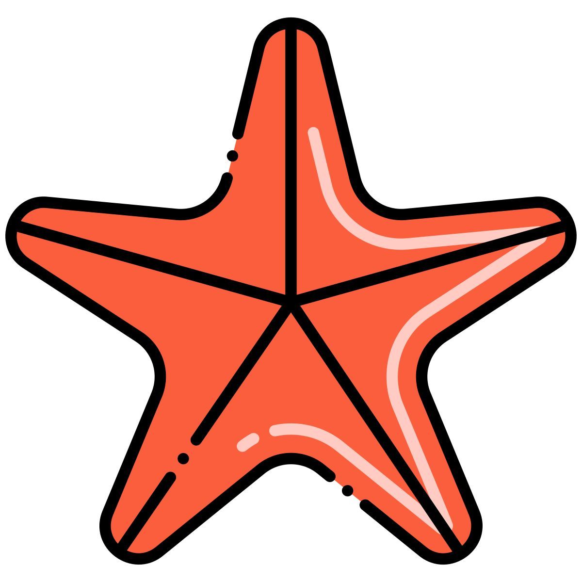 불가사리 icon