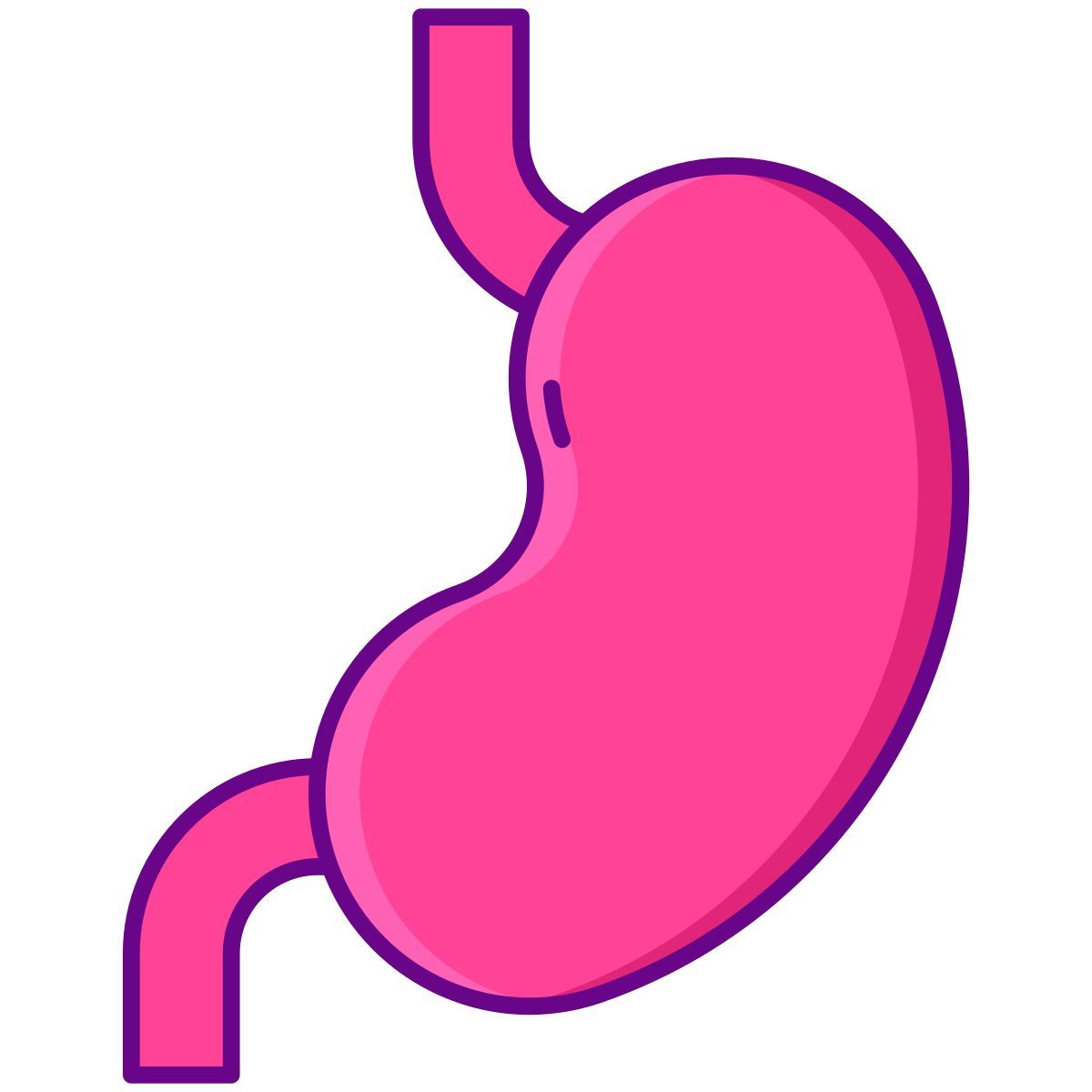 stomaco icon