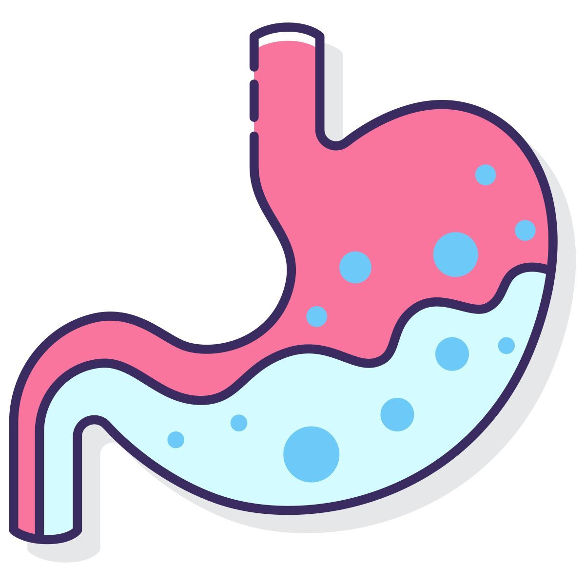 stomach icon