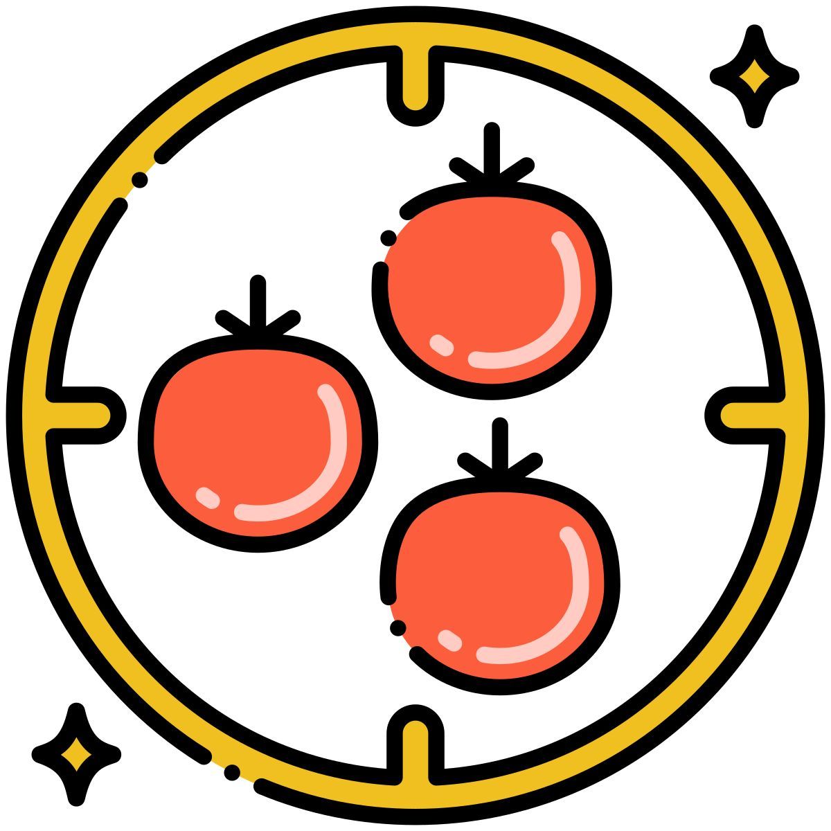 tomate icon
