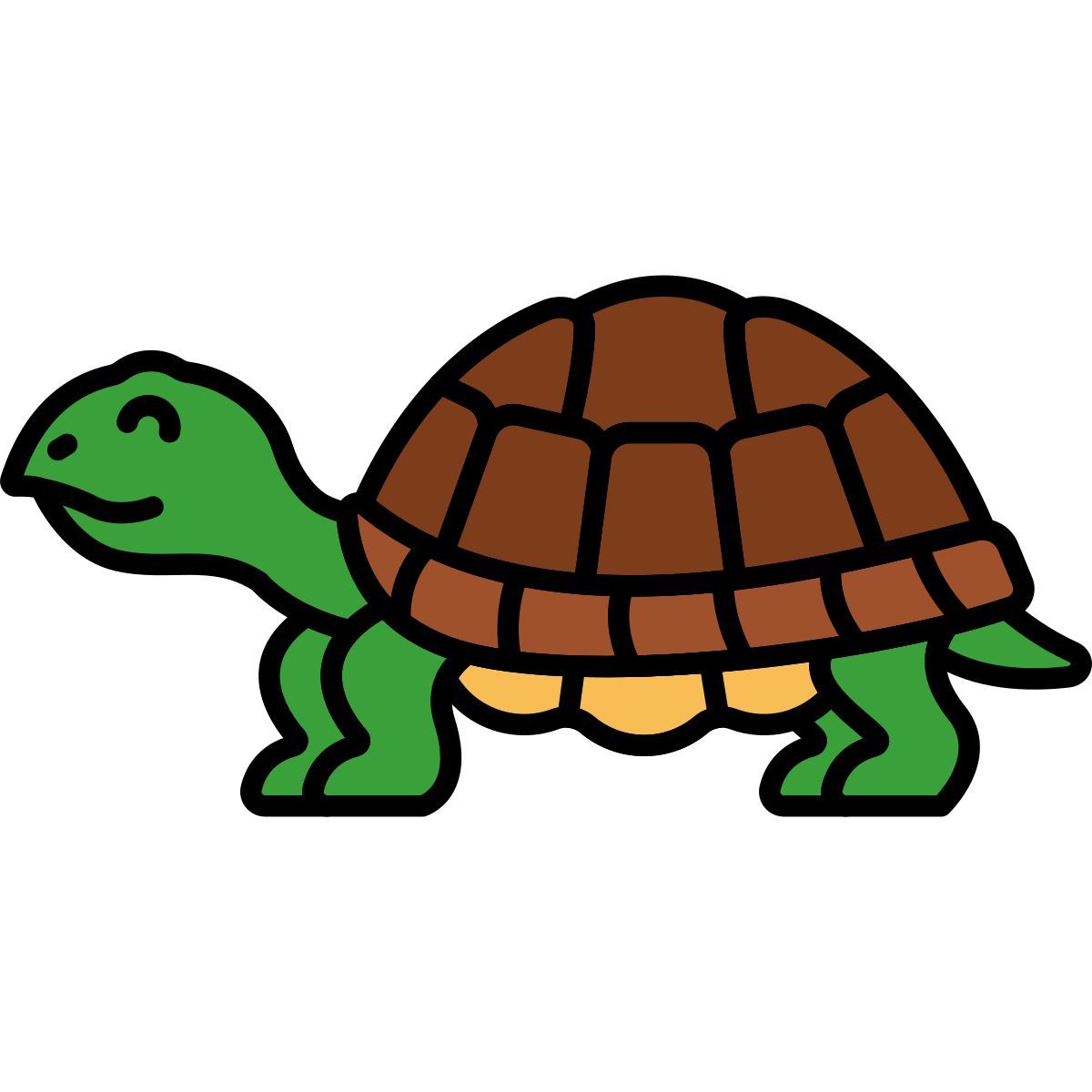 tartaruga icon