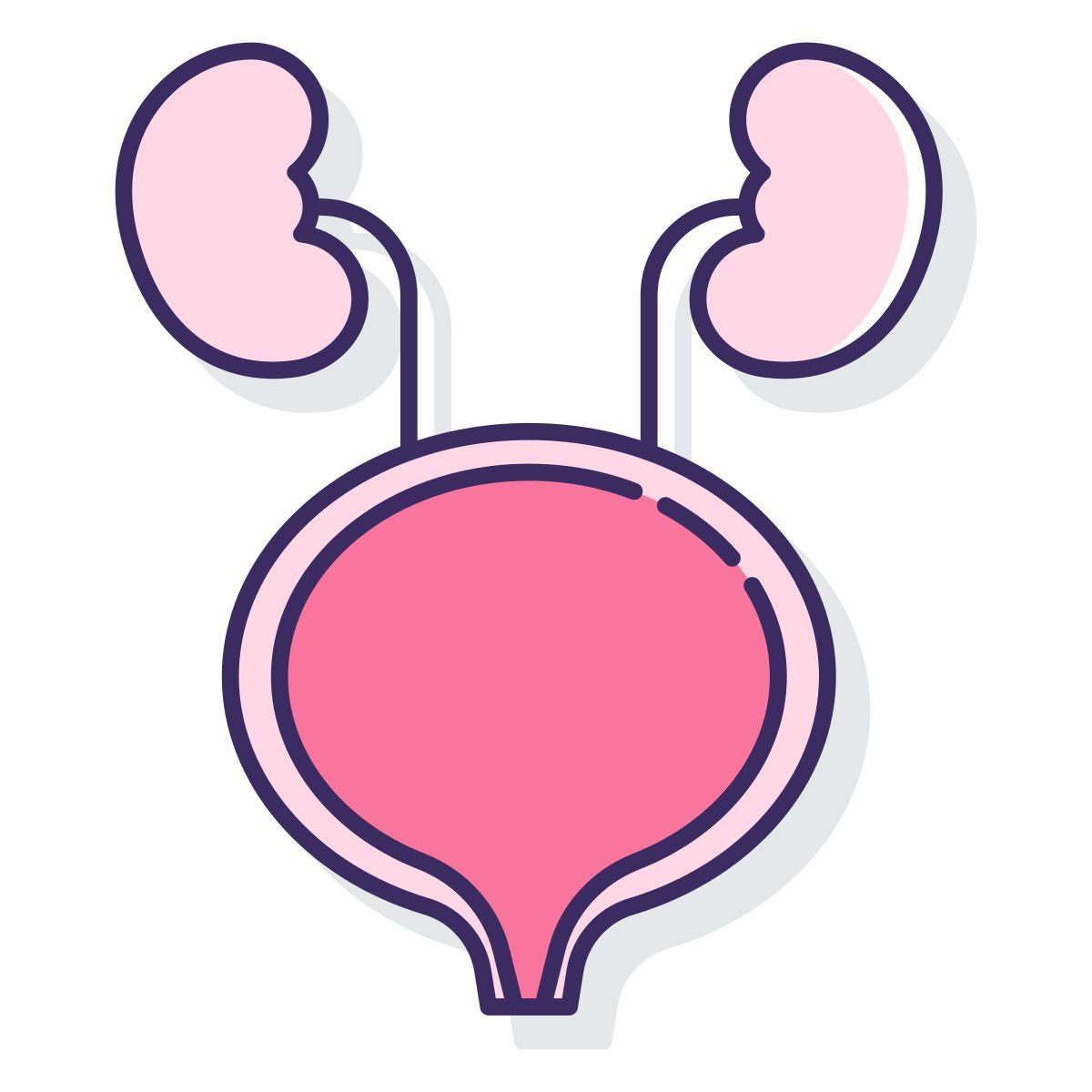 tracto urinario icon