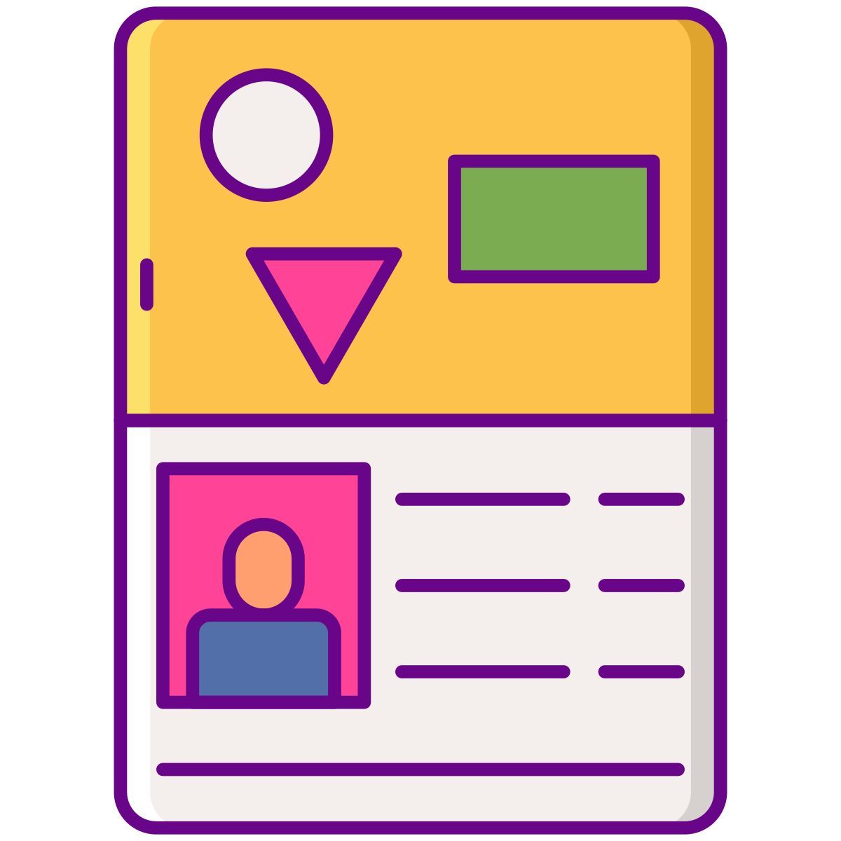 visa icon