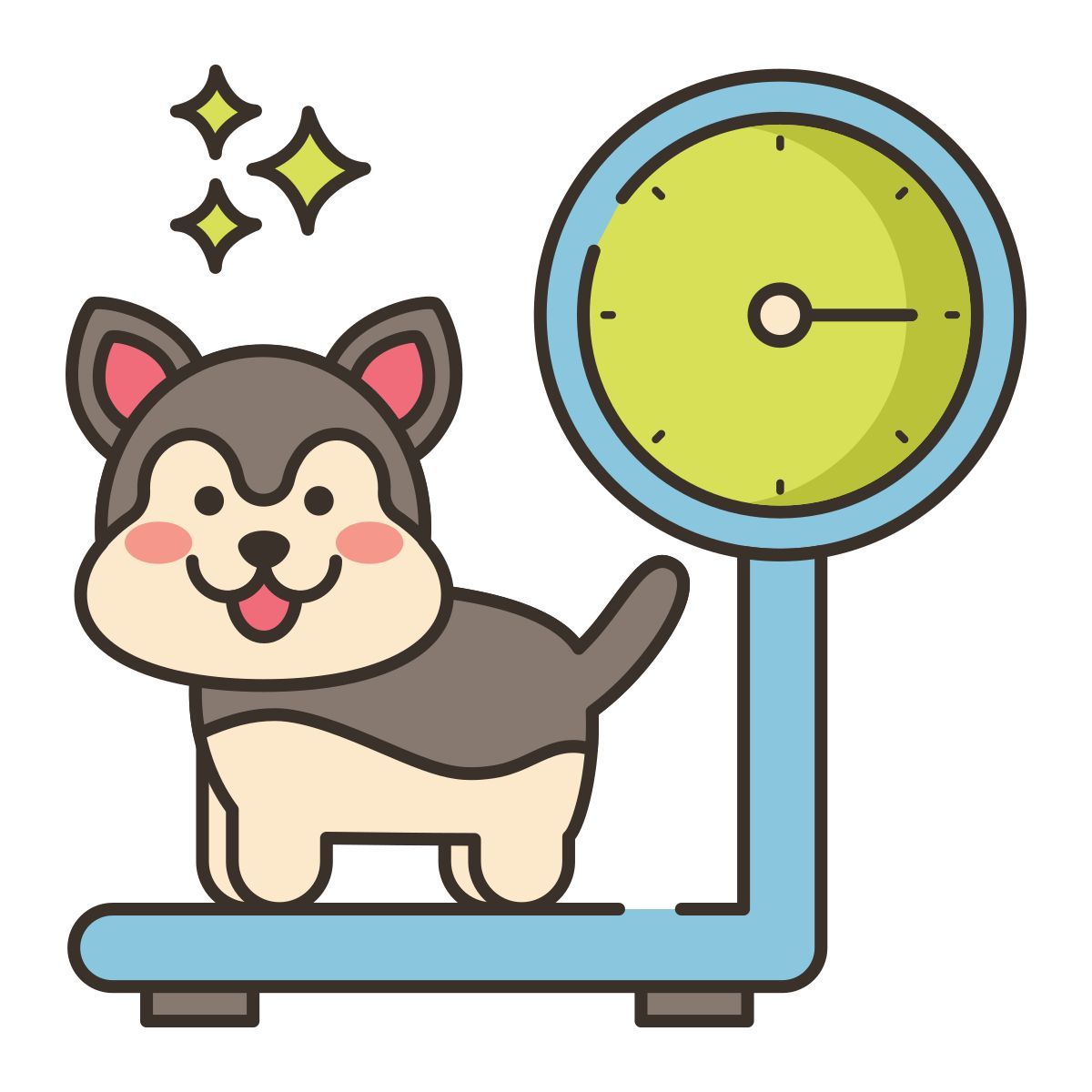 weight icon