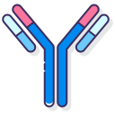 external antibodies-anatomy-flaticons-lineal-color-flat-icons-3 icon
