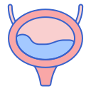 external bladder-medical-and-healthcare-flaticons-lineal-color-flat-icons icon