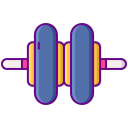external wheel-fitness-at-home-flaticons-lineal-color-flat-icons-2 icon