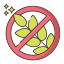 grain free