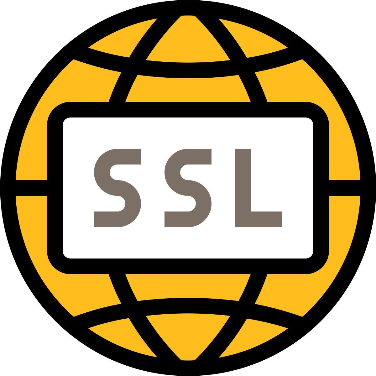 ssl icon
