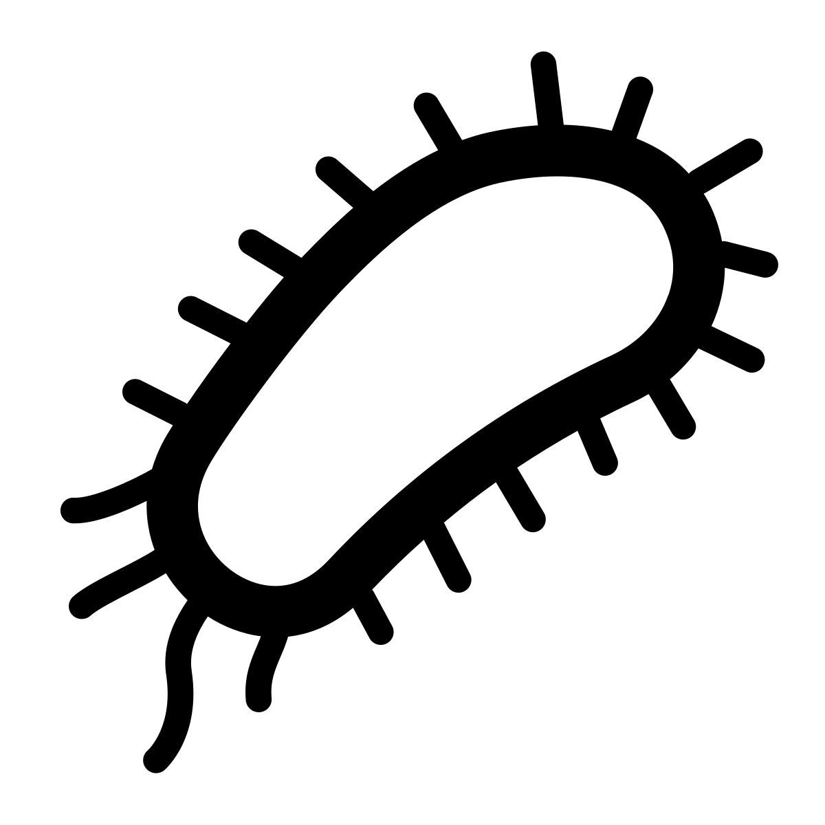 bacteria icon
