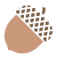 external acorn-autumn-glyph-chroma-amoghdesign icon