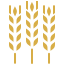 external agriculture-autumn-glyph-chroma-amoghdesign icon